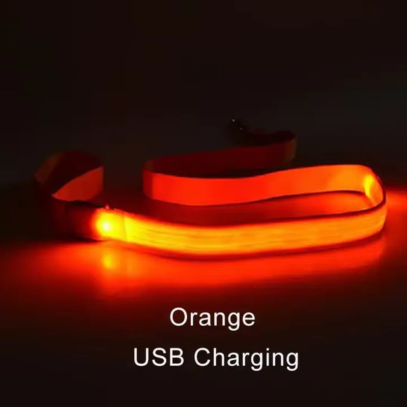 LED Light up Dog Leash Luminous Rope Lead Leash for Dog Safety Flashing Glowing Dog Collar Harness Electronic Pet Accessories